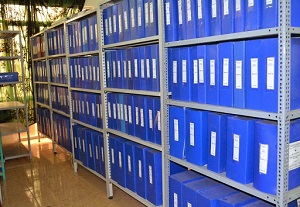 Kệ hồ sơ tải trọng 50-200 kg/ tầng